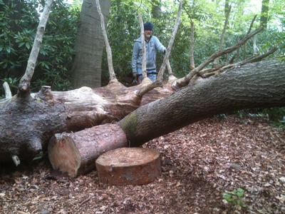 Log steps (2)