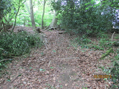 Southern Slope Steps Before (1)