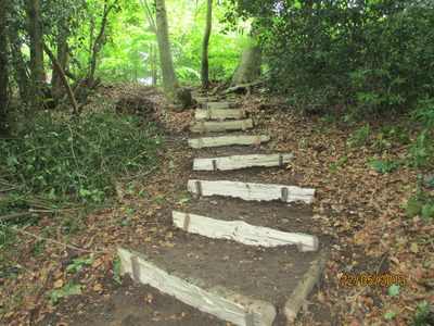 Southern Slope Steps After (1)