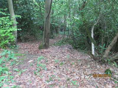 Southern Slope Steps Before (2)