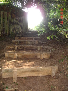 Devil's Den Steps (1)