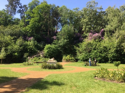 Tidying up the rose beds