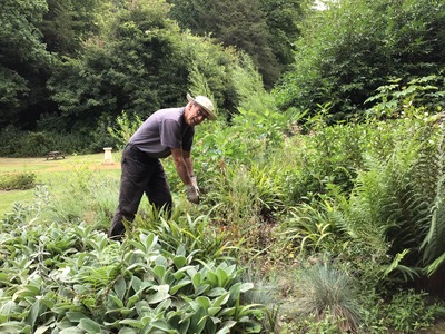 Andrew tidying up flower bed at bottom of embattled tower