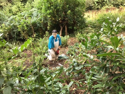 Nathan in the fernery 2 Sept