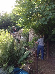 Margaret tackles a tree 2 Sept