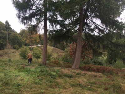 CP 2020 Photos